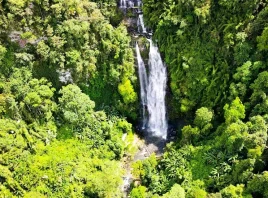 Di tích lịch sử, văn hóa