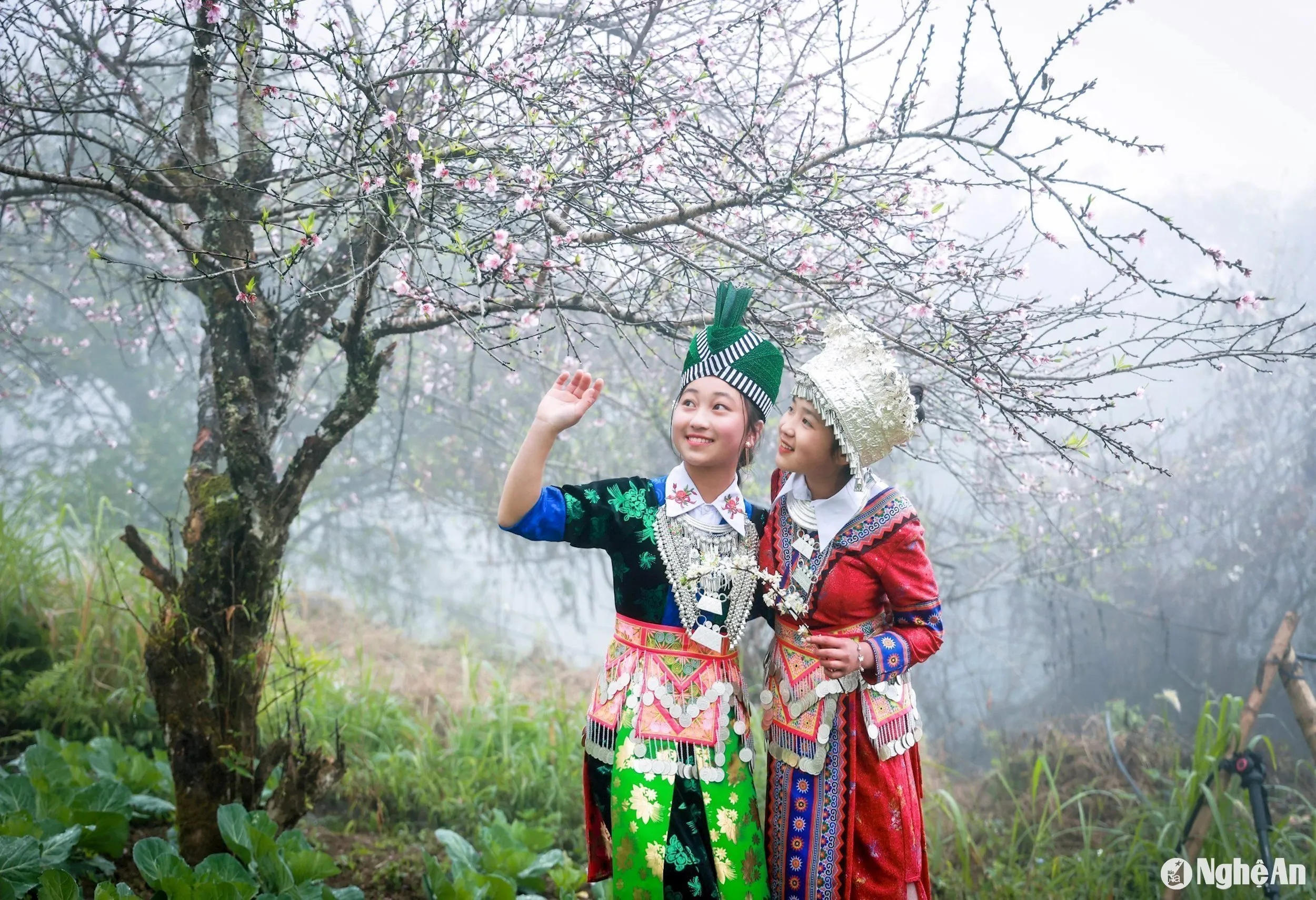 Những ‘điểm hẹn mùa Xuân’ ở Nghệ An