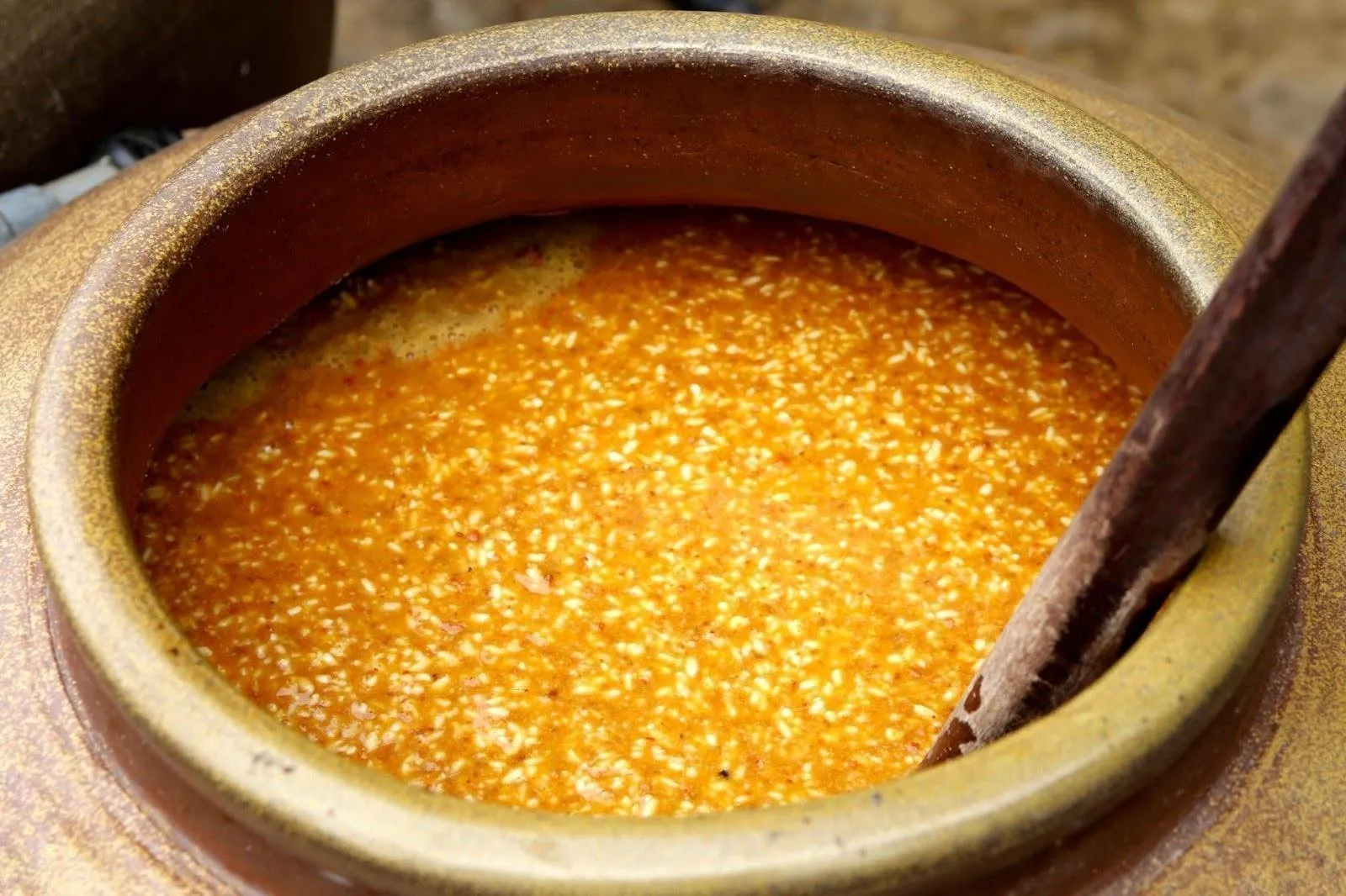 Tương Nam Đàn - Niềm tự hào của người dân xứ Nghệ