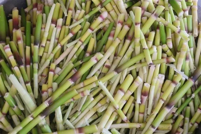 Măng Loi Tân Kỳ: Hương vị đặc trưng núi rừng Nghệ An