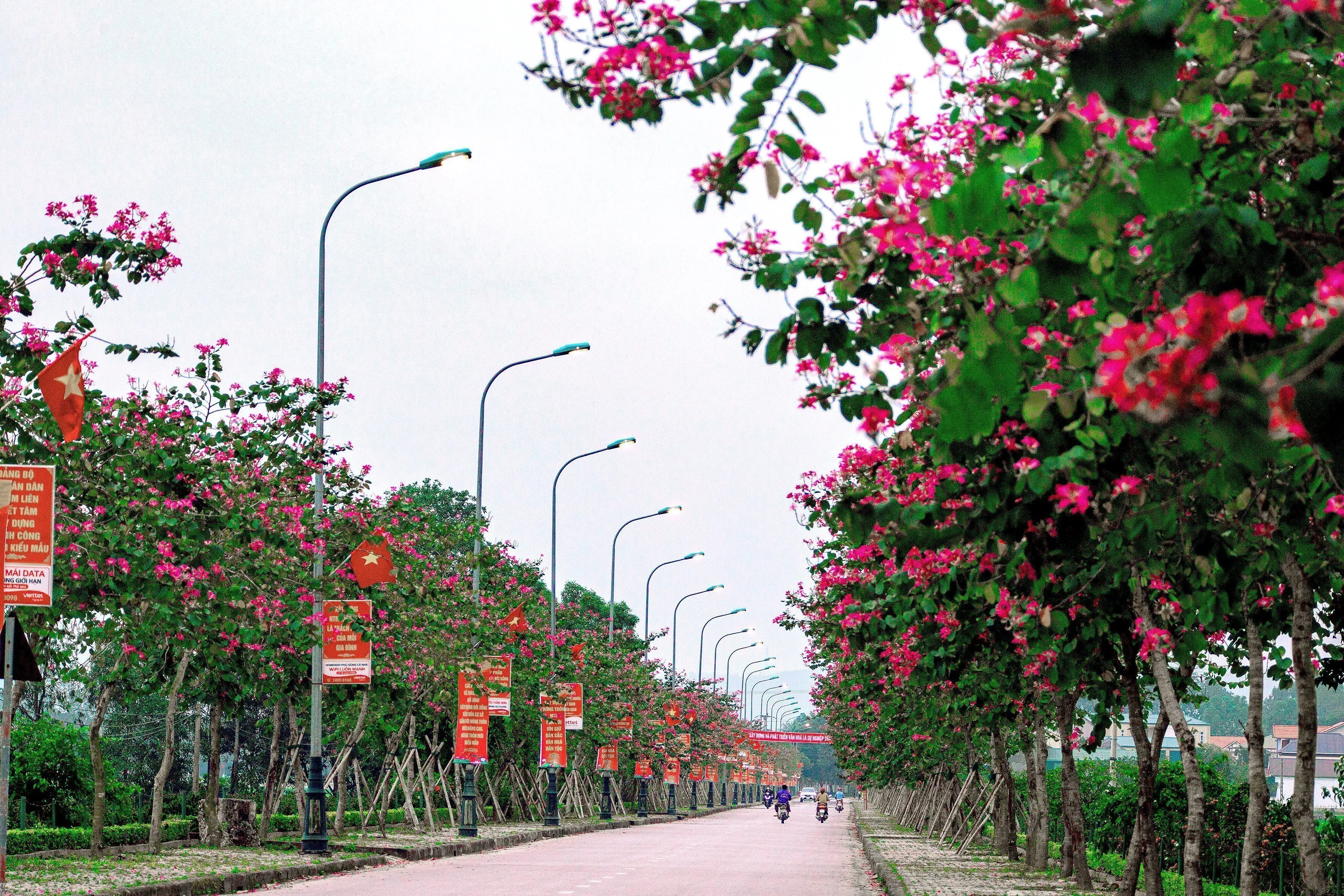 Đường về Làng Sen