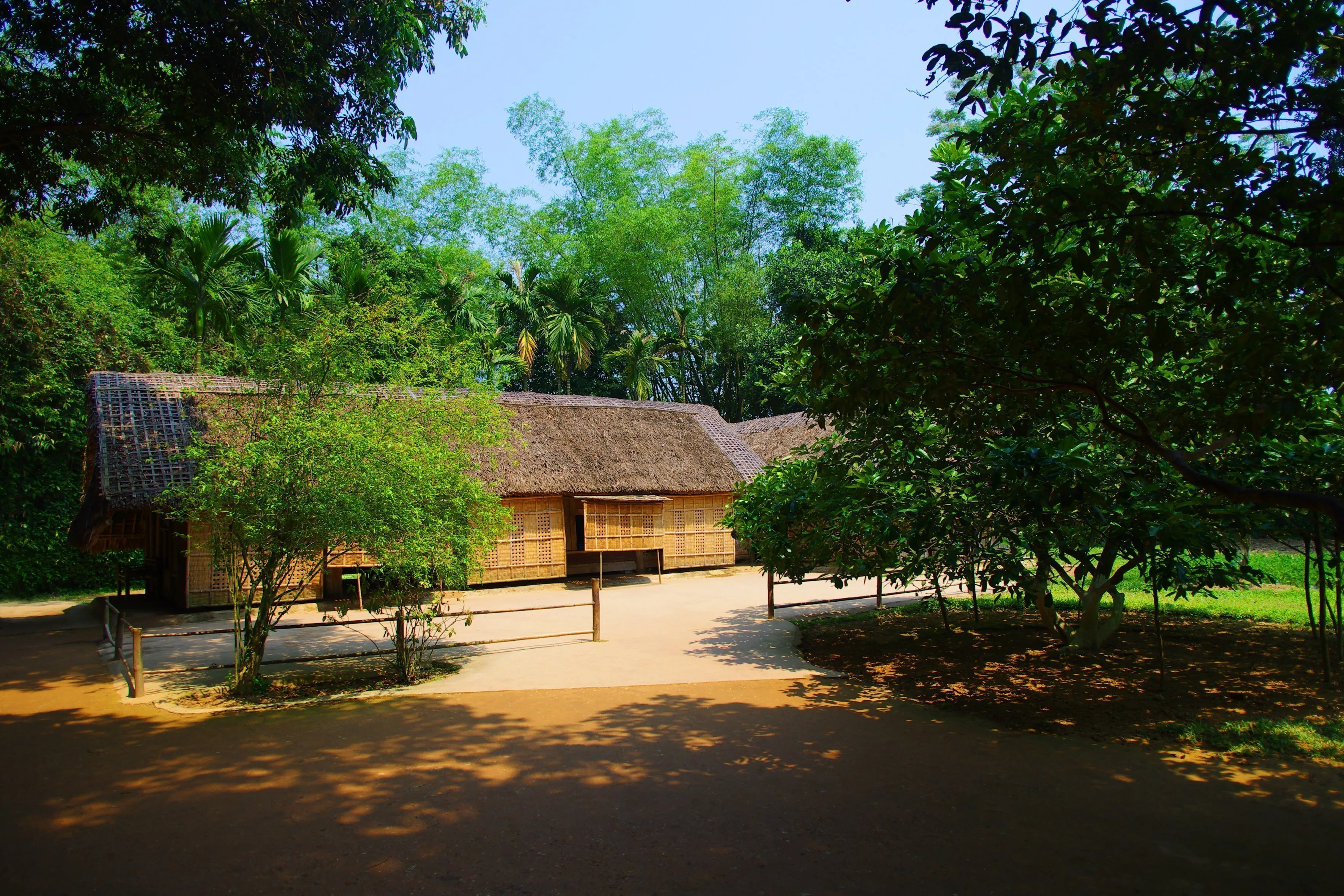 Hoa nắng làng Sen