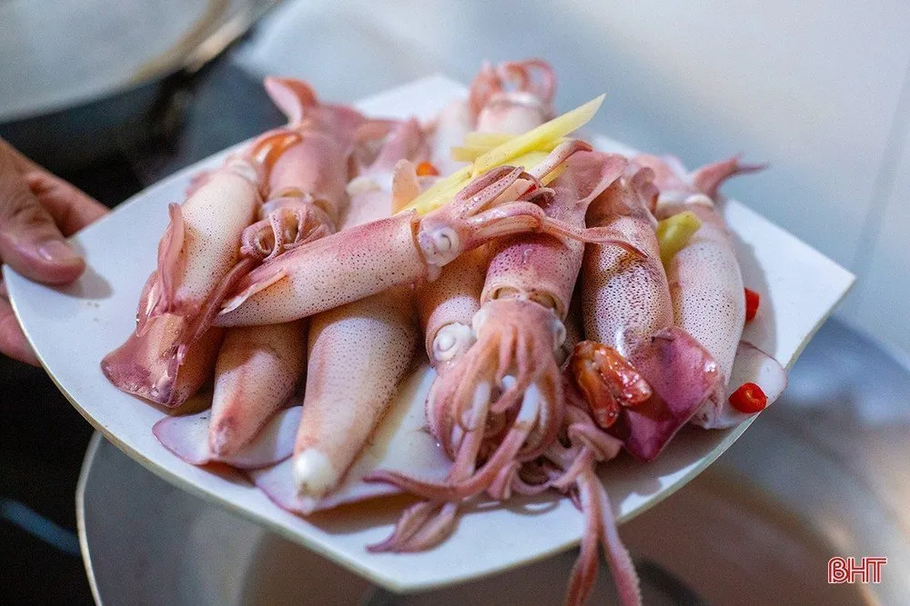 Mực nhảy nước Cửa Lò