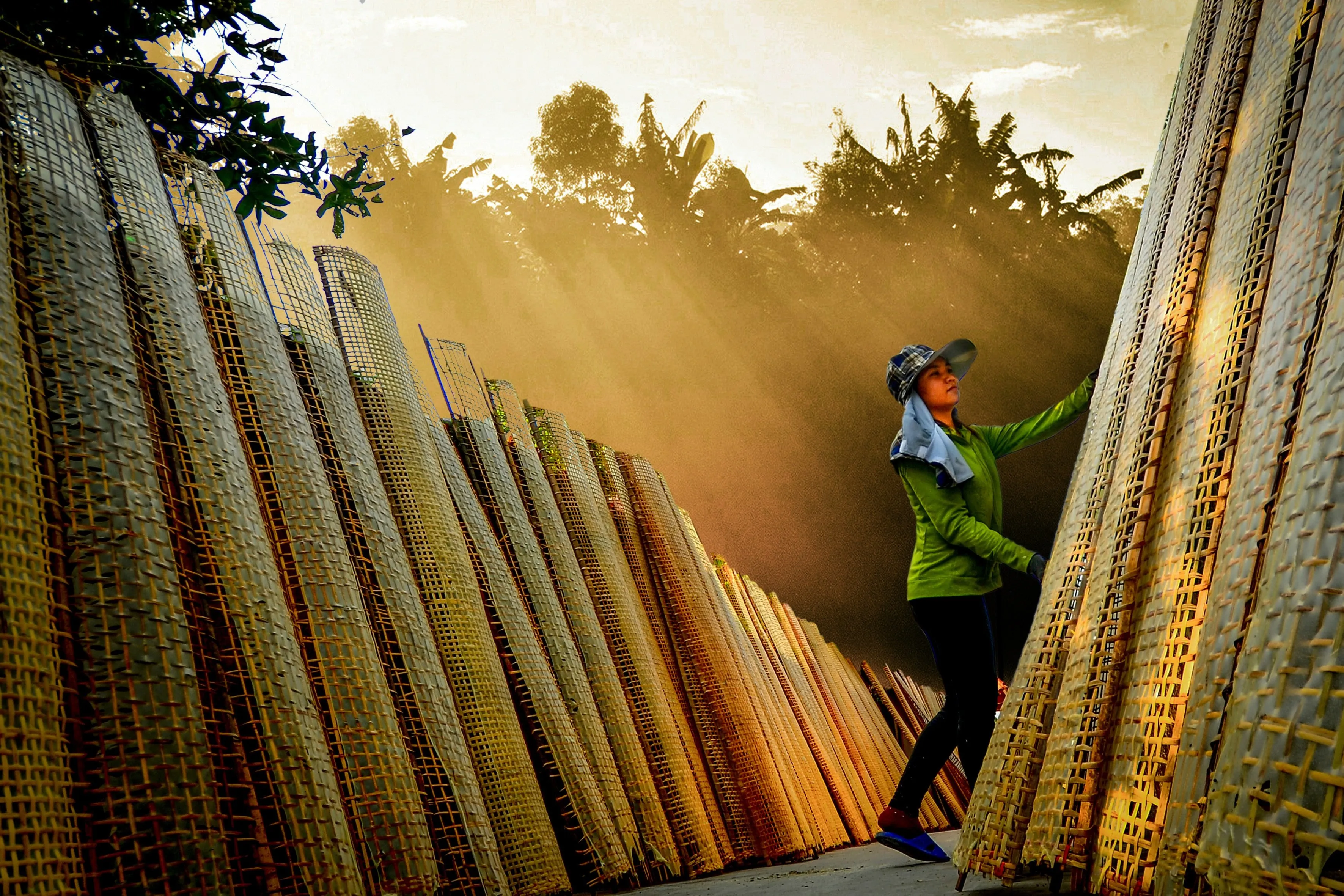 Làng đa nem Diễn Ngọc