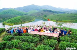 Xu hướng người Nghệ An đi du lịch Nghệ An