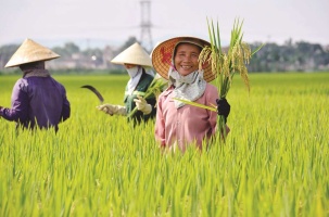 Về tính cách đặc thù của người xứ Nghệ