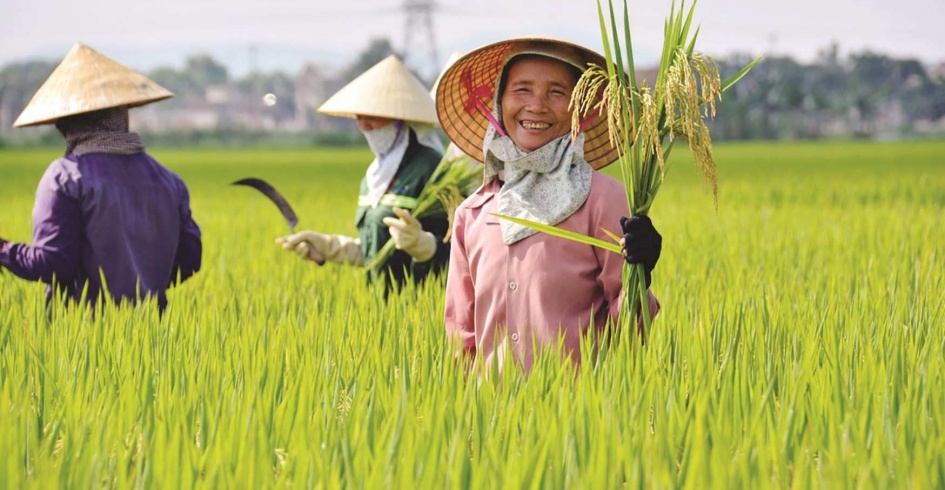 Về tính cách đặc thù của người xứ Nghệ