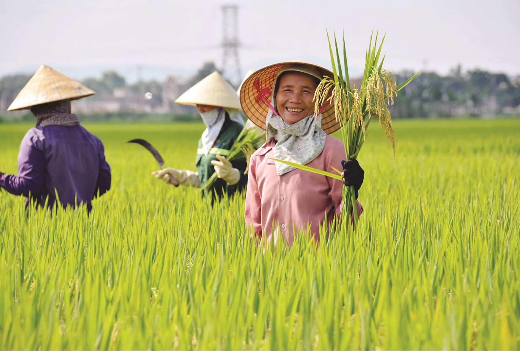 Về tính cách đặc thù của người xứ Nghệ