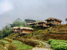 Du lịch Farnstay Nghệ An